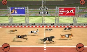 Cách Chơi Game Nhanh Đua Chó Tại 789Win Dễ Thắng Nhất 1 Đua Chó Tại 789Win