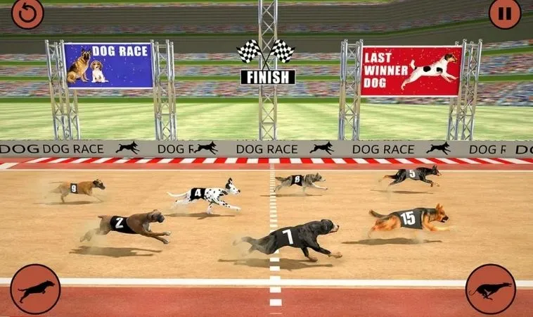 Cách Chơi Game Nhanh Đua Chó Tại 789Win Dễ Thắng Nhất 1 Đua Chó Tại 789Win