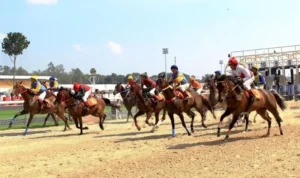 Đua Ngựa 789Win